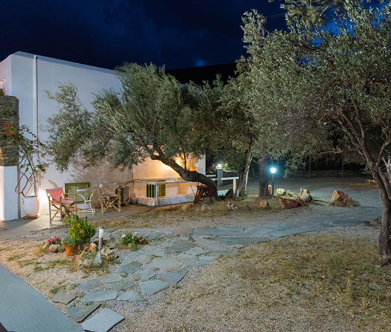 Κήπος και ελαιόδεντρα στα Giannakas Studios